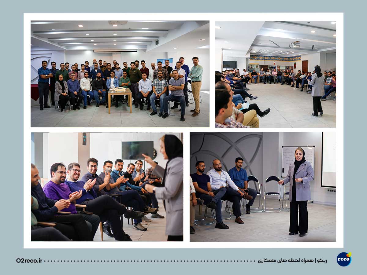 هلدینگ درنیکو